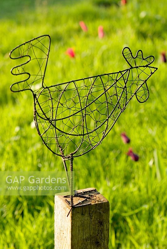 Chicken wire sculpture  