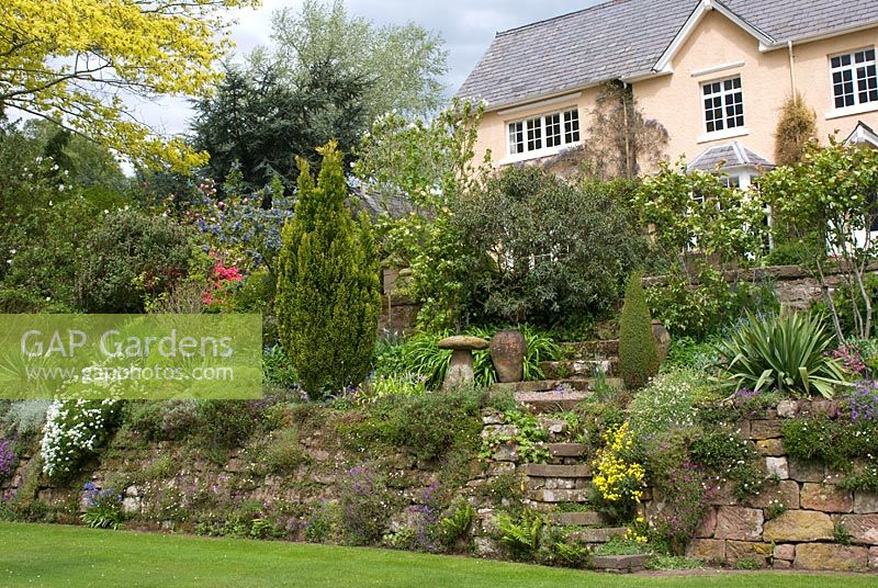 Front garden of country house with sheltered terraced borders and stone walls, richly planted with alpines, perennials, conifers and shrubs - Bank House, NGS garden, Cheshire