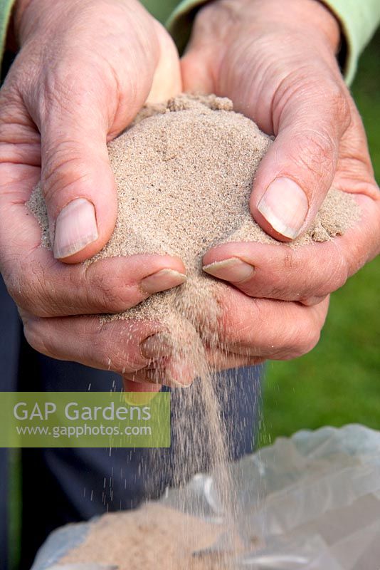 Silver sand being held in cupped Hands