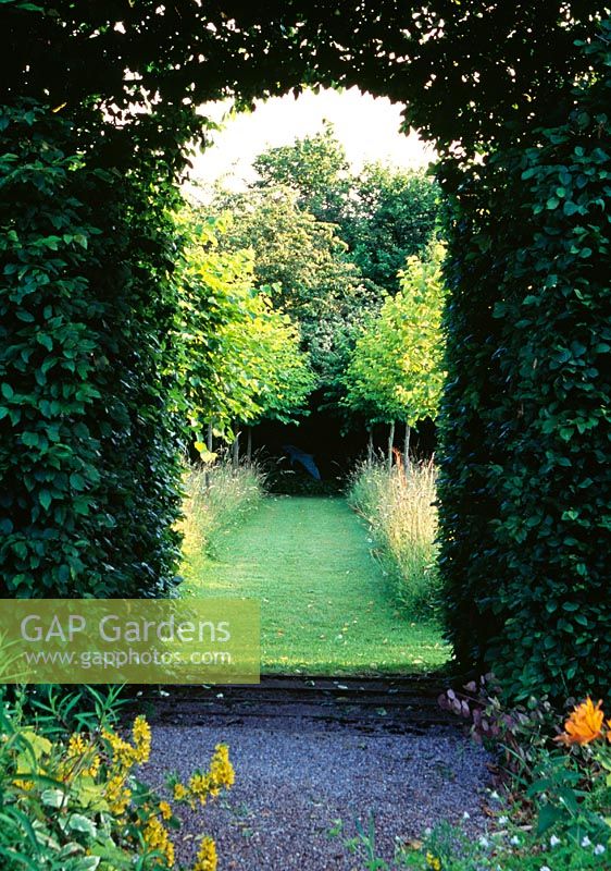 Arched opening in hedge, view to garden beyond