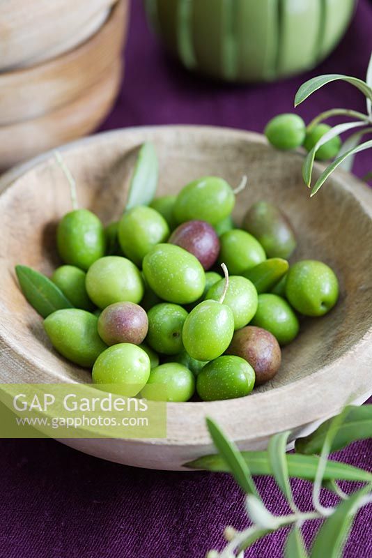 Olives in wooden bowl 