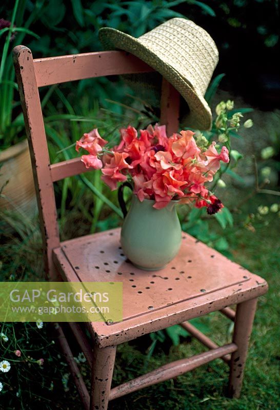 Pink sweetpeas on pink chair