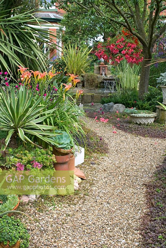 Gravel path, edged with Acaena purpurea, adjacent pots containing Yucca gloriosa 'Variegata', Hemerocallis 'Pink Damask', Echeveria glauca and Sedum, leading to water feature and tree with hanging basket and trailing Begonia in the back garden of a traditional Victorian red brick house - Southlands, NGS garden Lancashire