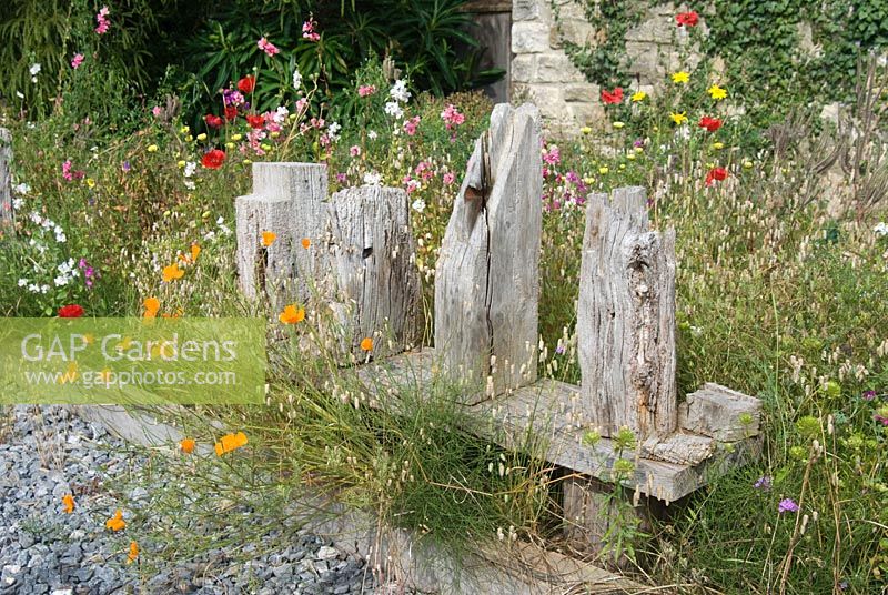 Driftwood sculpture / seat in corner of garden planted with colourful flowers to attract butterflies