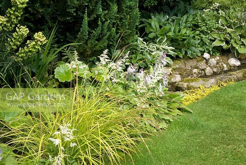 Euphorbia, Carex, Hellebore, Hosta, Astilbe and conifer border small stone lined stream course and lawn at Parm Place, Cheshire