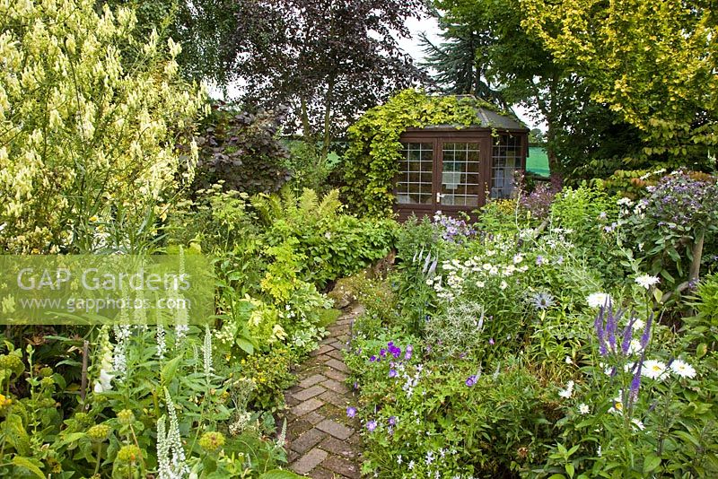 Colour themed borders of herbaceous perennials leading to summer house with flowers in profusion, packed into an idyllic English cottage garden, at Grafton Cottage ,NGS, Barton-under-Needwood Staffordshire