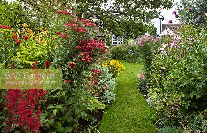 Borders of mixed herbaceous perennials lawns leading to cottage with flowers in profusion, packed into an idyllic English cottage garden, at Grafton Cottage ,NGS, Barton-under-Needwood Staffordshire