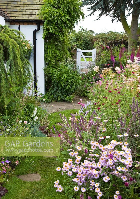 Borders of herbaceous perennials lawn leading to white wooden gate with flowers in profusion, packed into an idyllic English cottage garden, at Grafton Cottage , NGS, Barton-under-Needwood Staffordshire