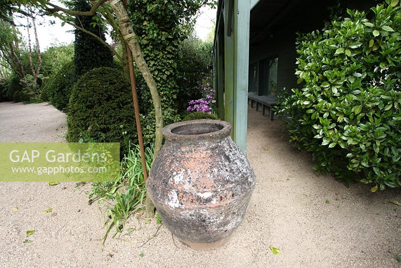 Terracotta urn with views to borders of Tulipa 'Blue Parrot' and Yews with geometrically shaped, English style garden in France - Les Jardins Agapanthe