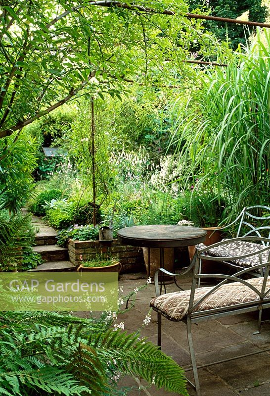 View of garden from seating area in small town garden with fine metal pergola, large grasses and ferns