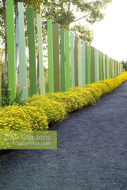 Entranceway from Reford Gardens into the Festival site using painted wooden posts underplanted with Tagetes- Marigold. 
International Garden Festival, Jardin de Metis/Reford Gardens, Quebec, Canada.
