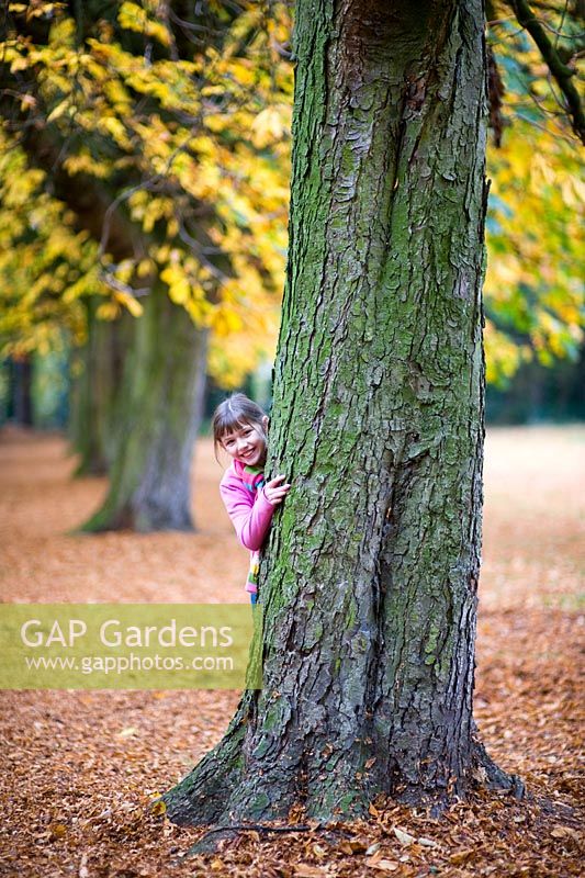 Young girl playing hide and seek in Autumn Woodland