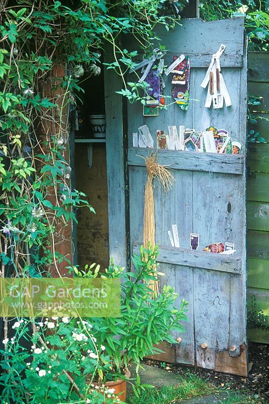 Painted Shed Door storing plant labels in Summer