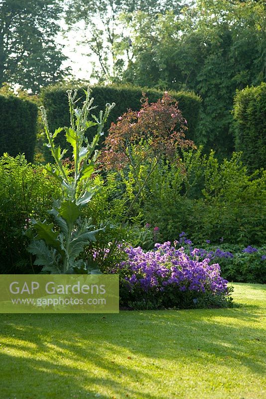 Summer garden, Abbots Ripton, Cambridgeshire, UK, 2008

