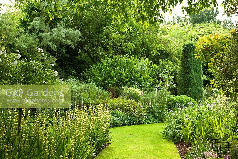 Summer garden, Abbots Ripton, Cambridgeshire, UK, 2008 

