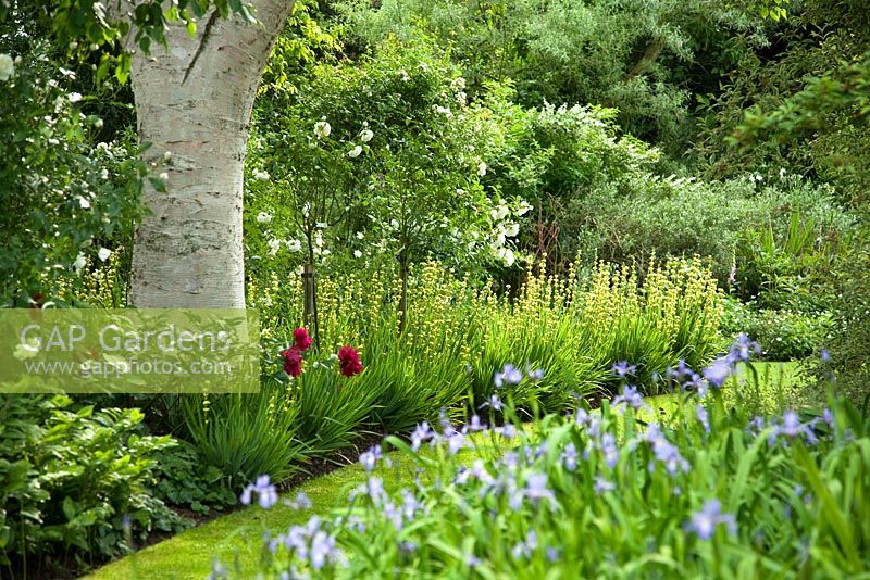 Summer garden, Abbots Ripton, Cambridgeshire, UK, 2008 