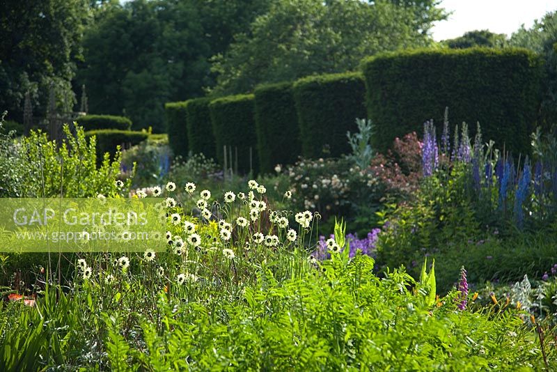 Summer garden at Abbots Ripton,  Cambridgeshire,UK,2008
