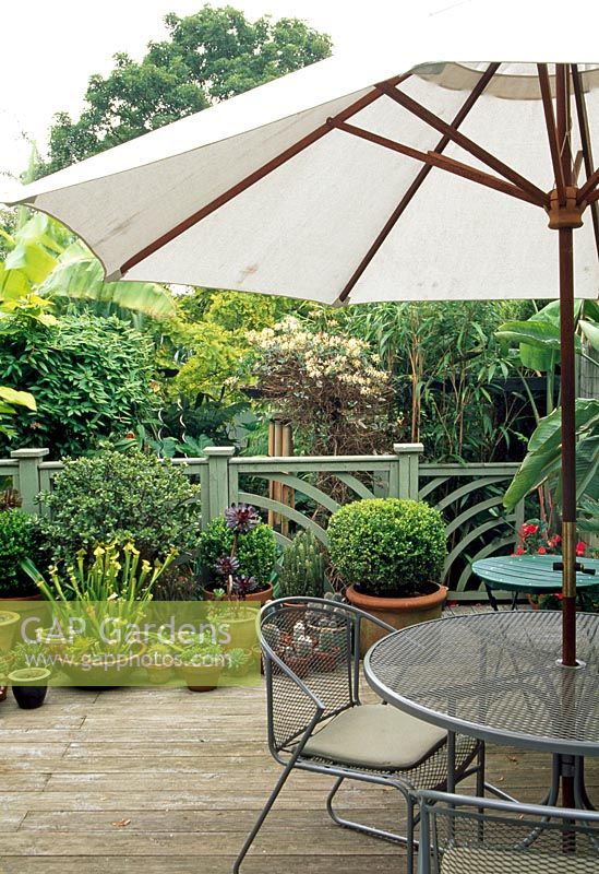Decking, plants in pots and large umbrella. Elmdon Exotic Garden, Solihull in September