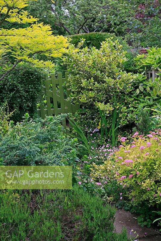 Marijke's garden. Colour themed planting in shades of pink, yellow, blue and green complemented by the green gate