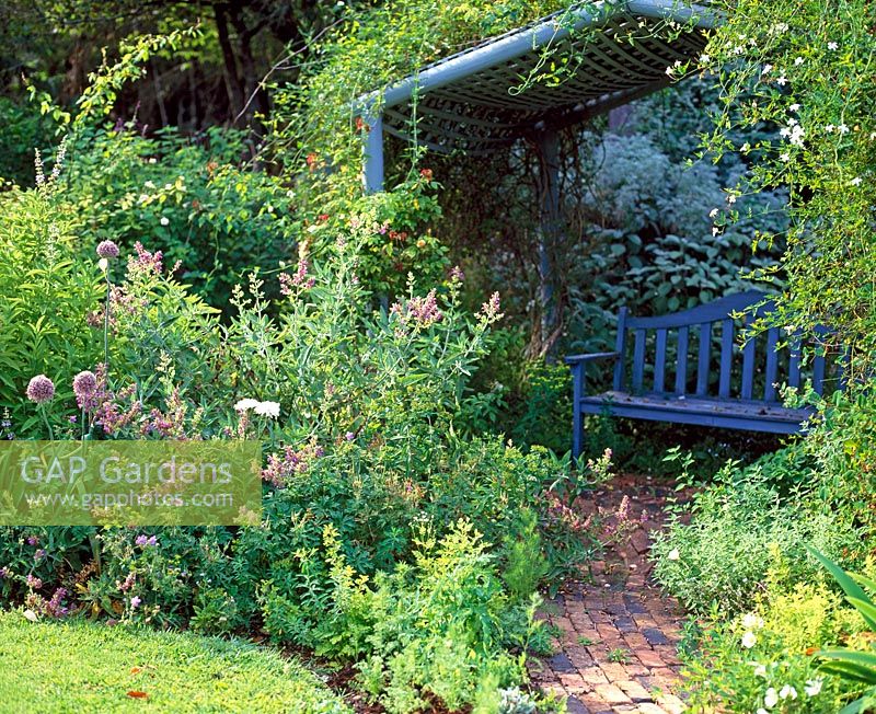 Blue arbour - Barbara Clare's garden