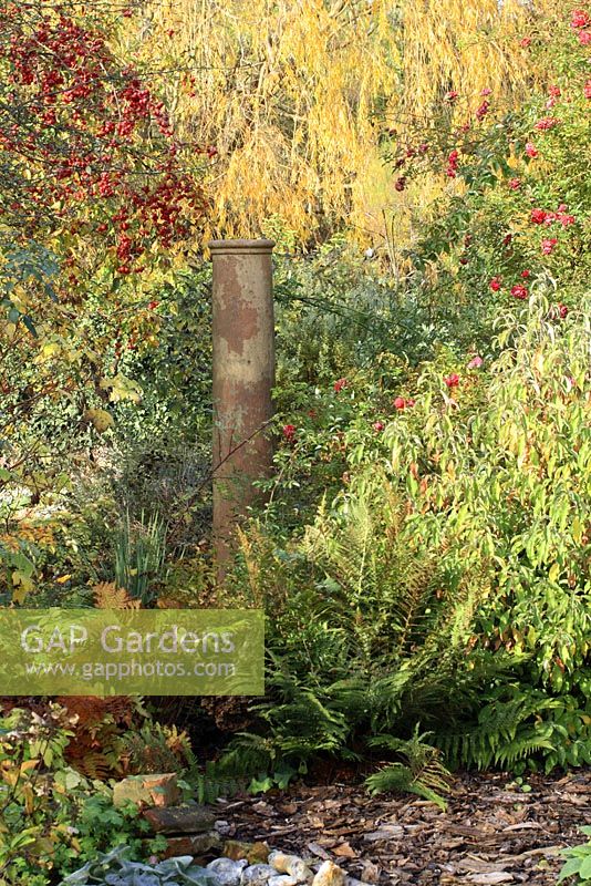 Tall chimney pot used as focal point in mixed border with Rosa,  Malus, Salix and ferns