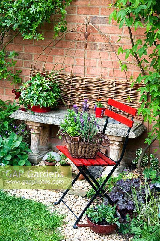 Decorative herb pots in a garden setting. In a red-painted, recycled tin -  Mentha suaveolens variegata - Pineapple Mint, Origanum vulgare 'Gold Tip'  - Marjoram, Allium schoenoprasum - Chives Viola 'Penny Red Blotch'. in a red-painted, recycled tin. In the metal basket - Mentha suaveolens, Origanum vulgare 'Gold Tip'  - Marjoram, Tymus vulgaris and Lavender 'Willow Vale'.