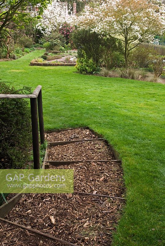Wooden steps and rail with bark chippings as mulch, leading to lawn and borders with flowering shrubs and trees including Magnolia, Camellia and Amelanchier in Spring at 'Briarfield', Cheshire