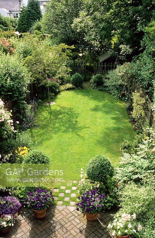 Long narrow town garden divided into sections. Formal design with lawn and box topiary nearest house leading to small woodland garden with group of birch trees and small shed. June.