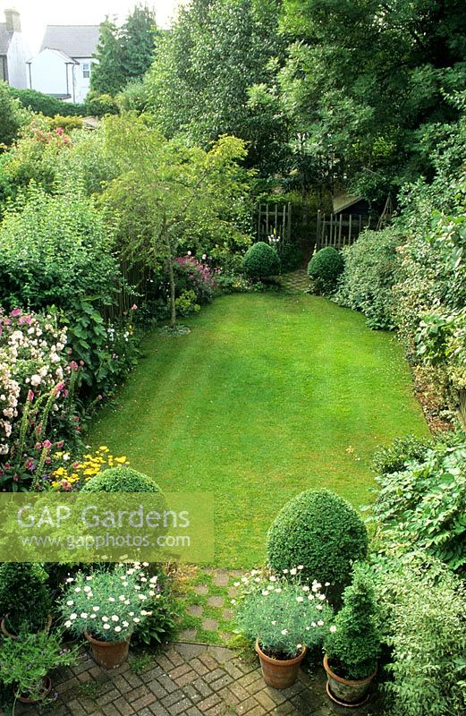 Long narrow town garden divided into sections. Formal design with lawn and box topiary nearest house leading to small woodland garden with group of birch trees and small shed. July