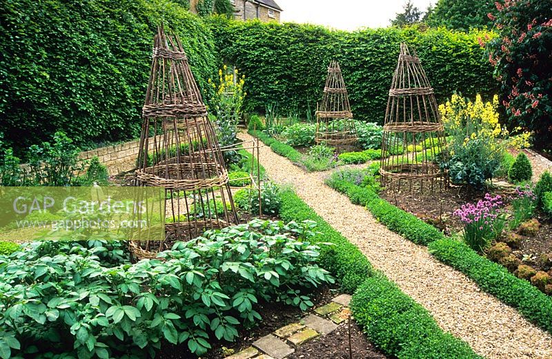 Ornamental vegetable garden arranged in triangles with 'salmon trap' plant supports and herb and box path edgings