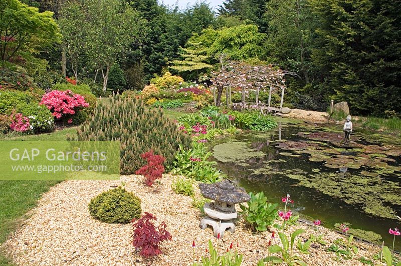 The Pond in the Japanese Garden, Cookscroft Gardens, Sussex