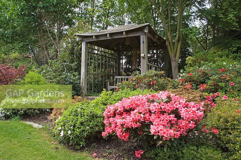 Pergola and rhododendrons in the Japanese Garden, Cookscroft Garden, Sussex