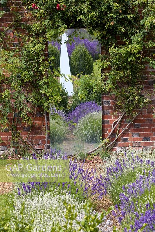 Mirror in the Lavender Garden - Downderry Lavender Nursery
