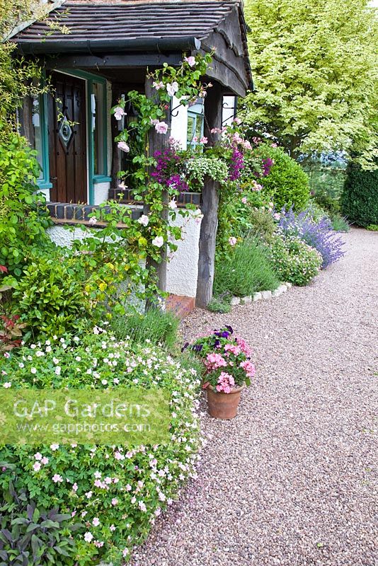 View front of cottage with herbaceous border hanging basket containers climbing roses and clematis gravel path at Lilac Cottage ,NGS, in Summer