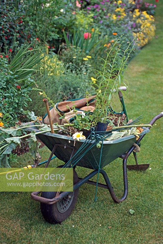 Wheelbarrow and tools in a garden 