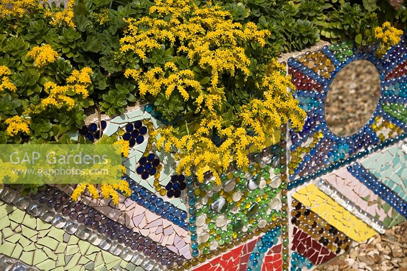 Bright yellow sedums tumble over mosaic covered wall 