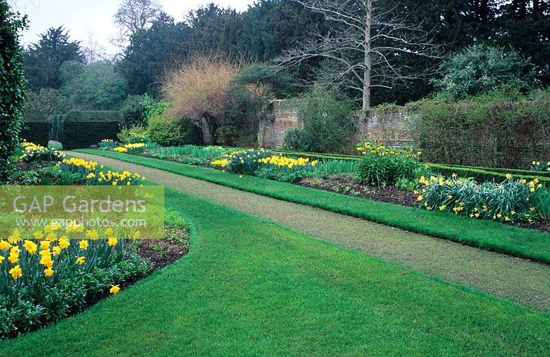 Blue and Yellow herbaceous border - Fellows' Garden, Clare College, Cambridge