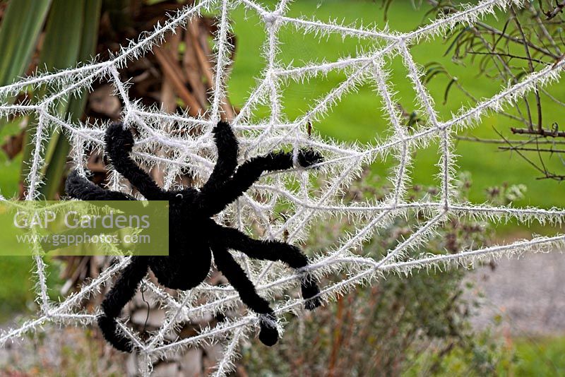 Halloween decoration of a giant spider on a web