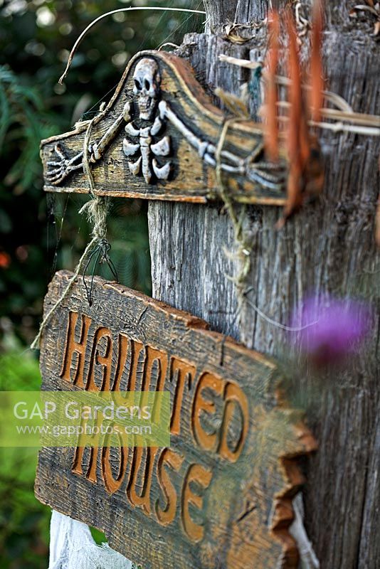 'Haunted House' signpost as Halloween decoration 