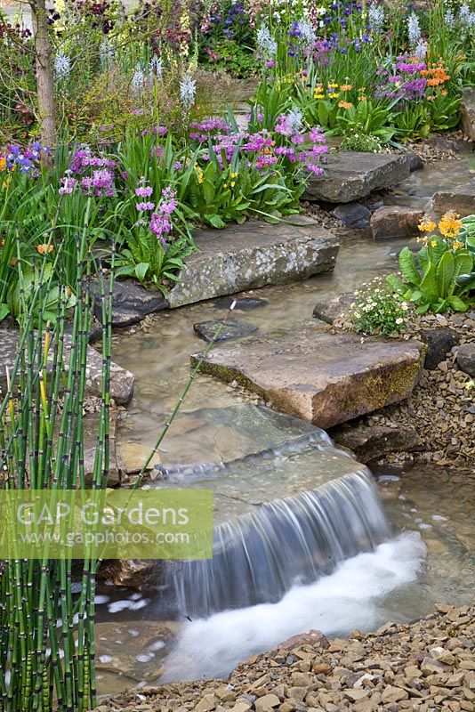 Primula bulleyana, Primula florindae and Camassia, surrounding a cascading water feature - The Hesco Garden, sponsored by HESCO Bastion and Leeds City Council - Silver-Gilt medal winner at RHS Chelsea Flower Show 2009
