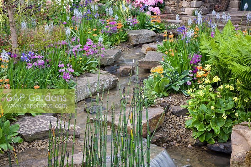 Primula bulleyana, Primula florindae and Camassia, surrounding a cascading water feature - The Hesco Garden, sponsored by HESCO Bastion and Leeds City Council - Silver-Gilt medal winner at RHS Chelsea Flower Show 2009 


