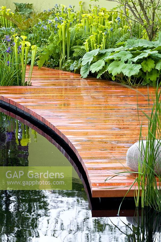 Pond with decking - The Foreign and Colonial Investments Garden, Sponsored by Foreign and Colonial Investment Trust, Contractor The Outdoor Room - Silver Flora medal winner at RHS Chelsea Flower Show 2009 