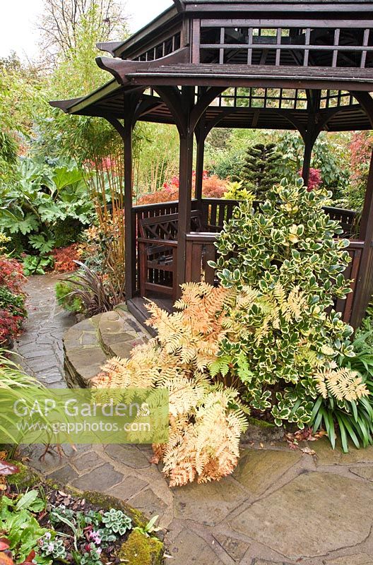 Pagoda with quiet seating area in Japanese style garden in autumn with Acers, deciduous trees, shrubs and conifers grown for their foliage, some showing stunning autumnal tints and hues - Four Seasons Garden NGS, Walsall, Staffordshire 