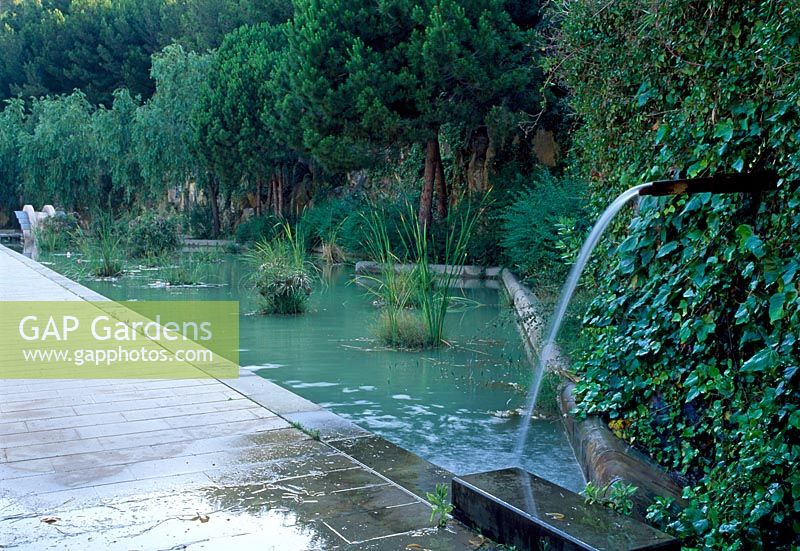 Naturalistic pond with simple waterfall and marginal plants - Fossar de la Pedrera, Barcelona, Spain