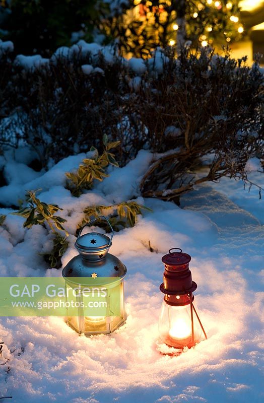 Tea light lanterns in snow backed by foliage and Christmas tree