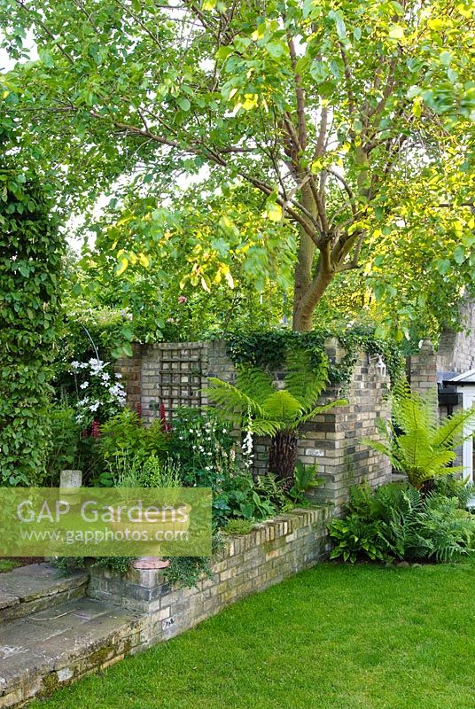 Secluded town garden - New Square, Cambridge