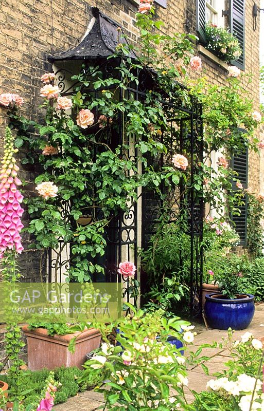 Front door with wrought iron porch and roses - New Square, Cambridge