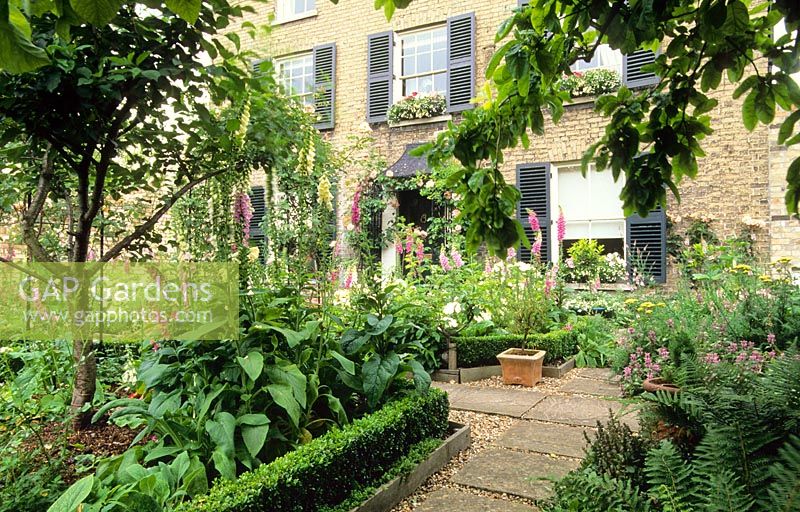 View to house with Medlar trees. Formal beds planted with Ferns, Foxgloves, Lamiums and Ajugas and edged with box - New Square, Cambridge