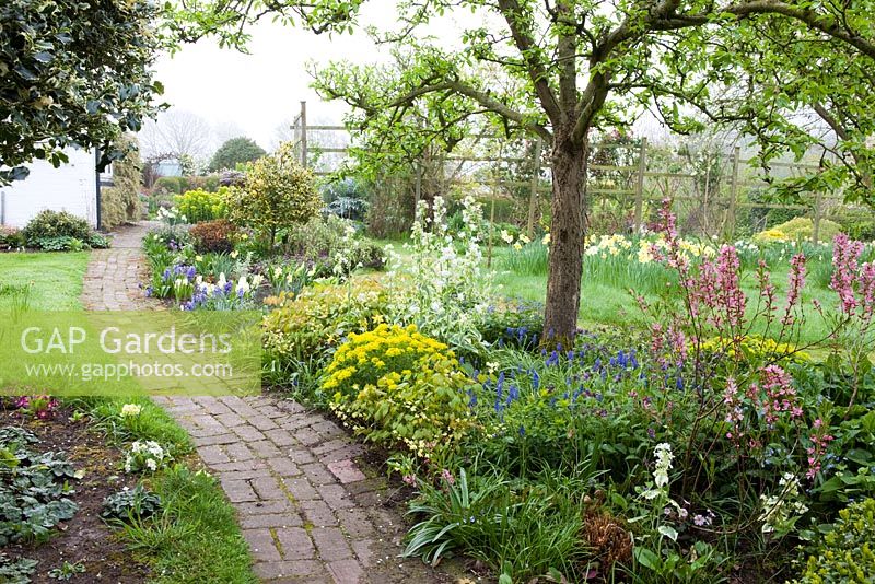 Spring border and brick path at Eastgrove Cottage, Worcestershire in April