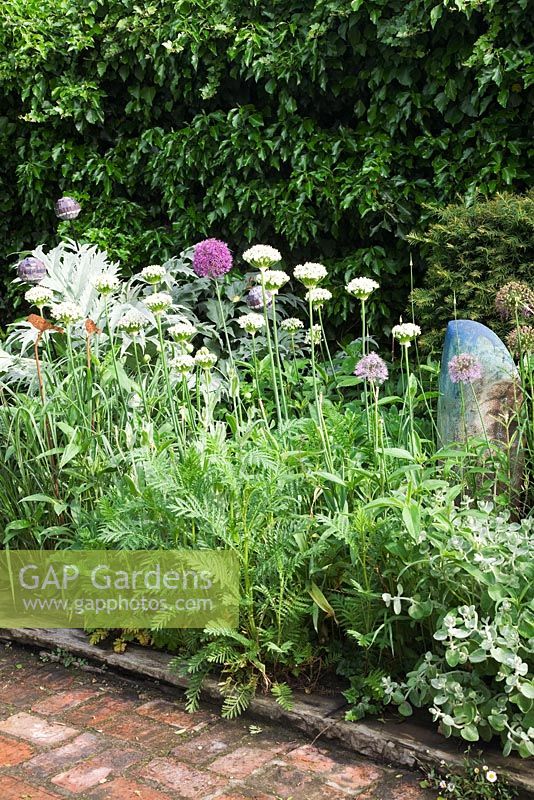 Border in a quirky town garden in May filled with antique objects and Alliums. Cardoon, Miscanthus and Achillea foliage. Allium 'Purple Sensation' and Allium nigrum edge brick path.